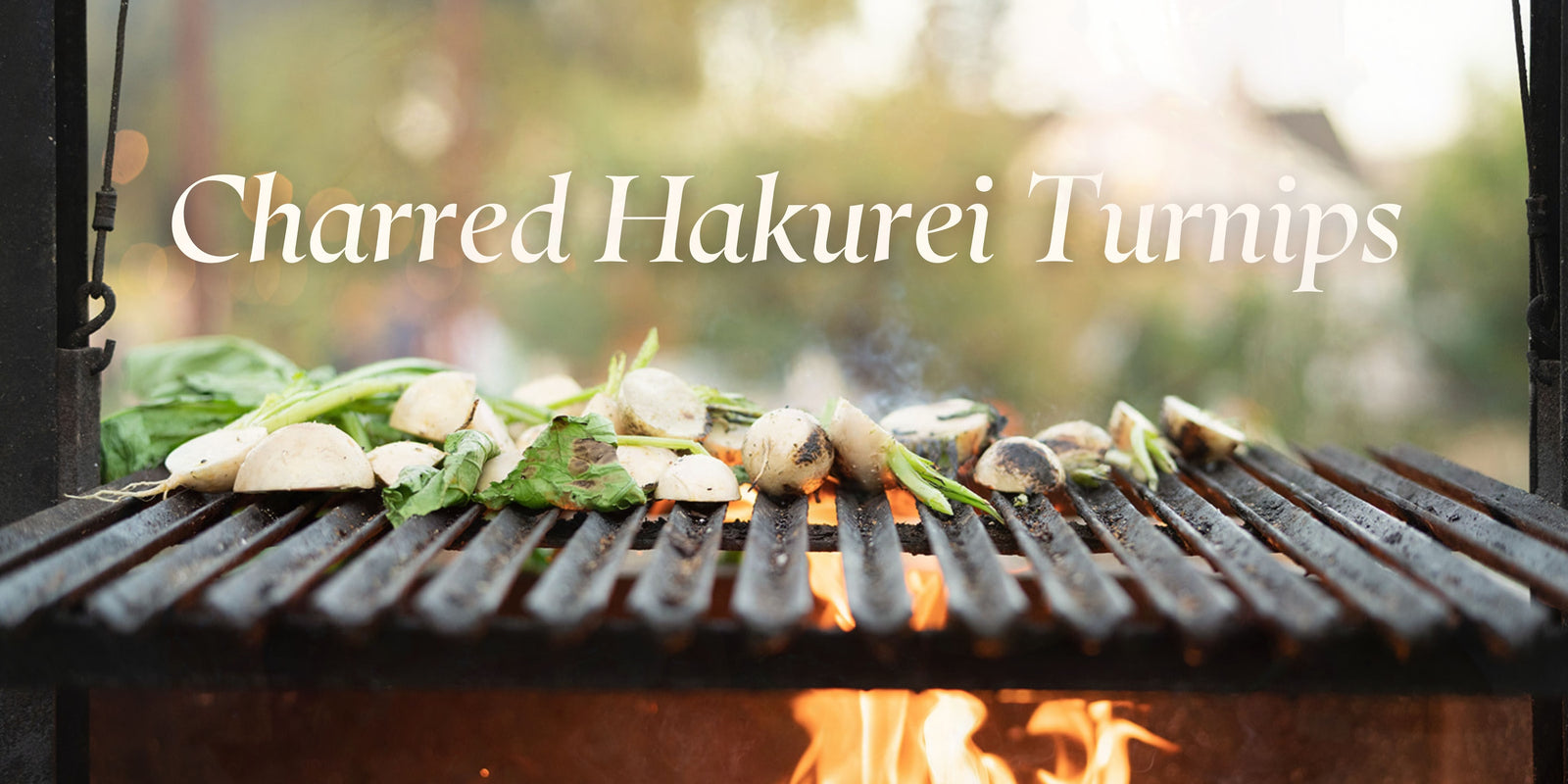 Charred Hakurei (Tokyo) Turnips