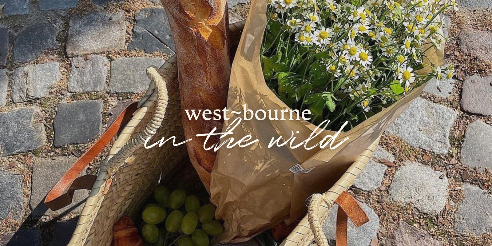 Stockists + Retailers, By Region