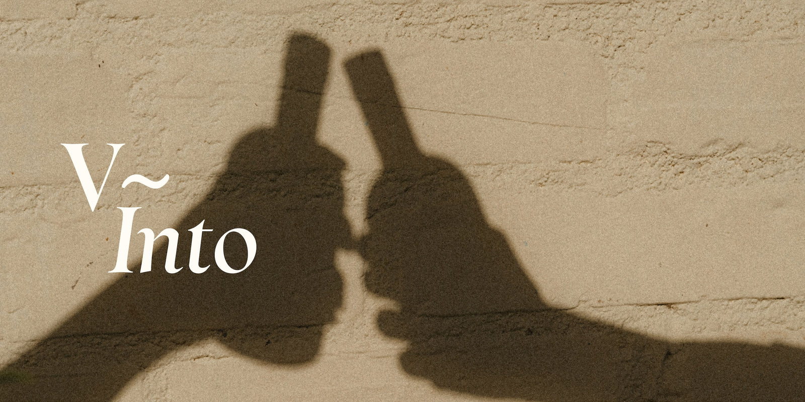 V~Into: January 2024