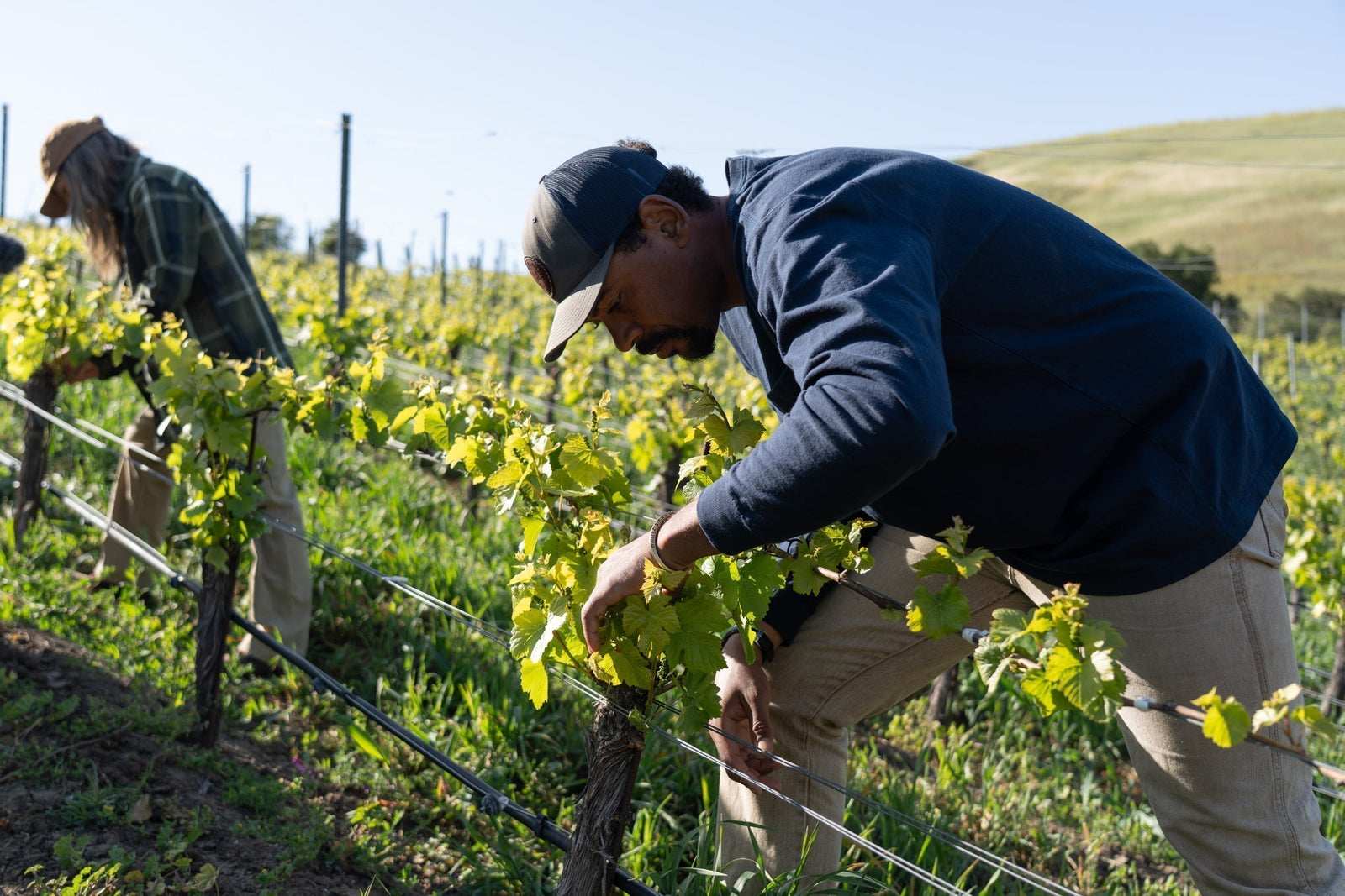 Main Meal: Jesse Smith on Land Stewardship
