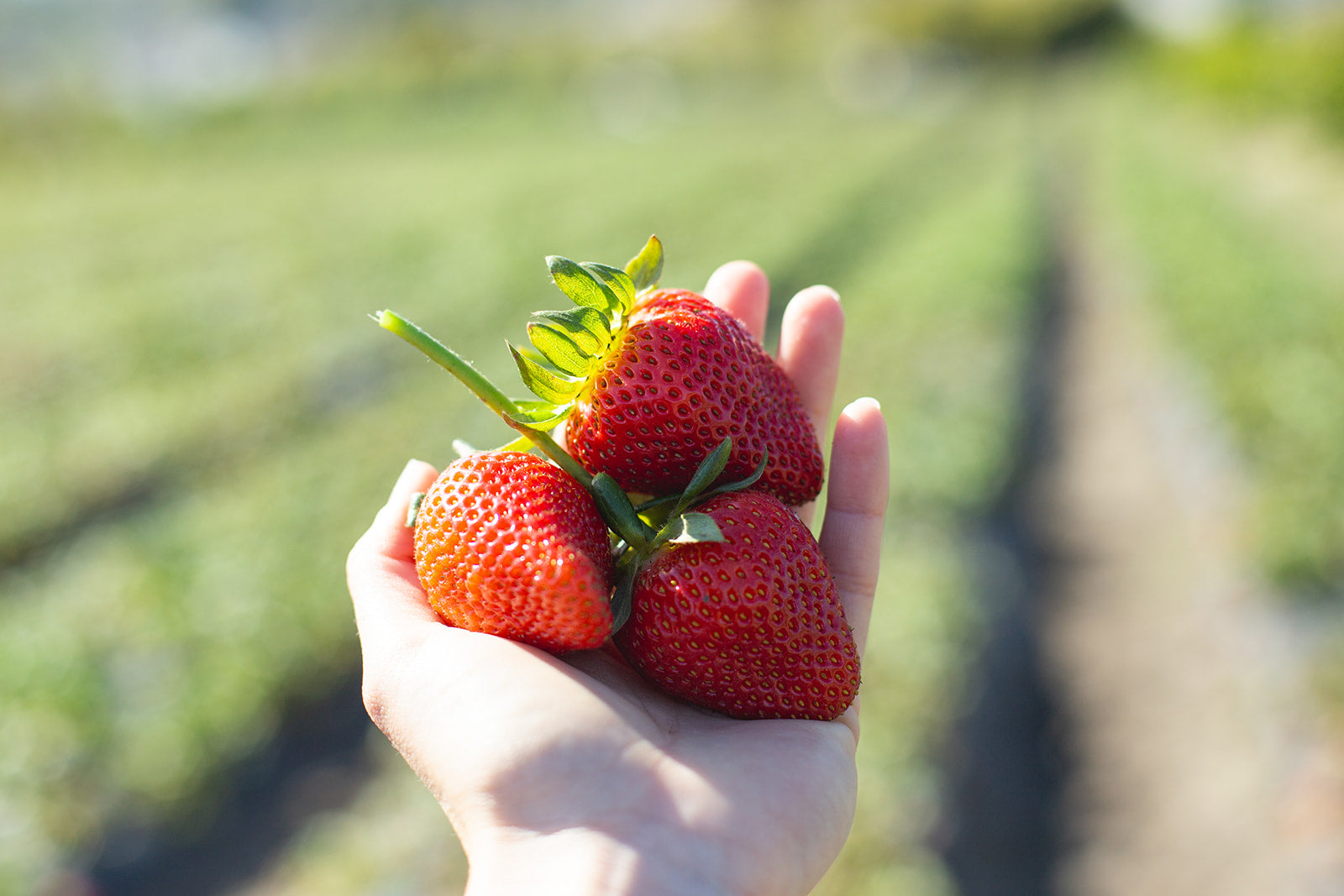 Why We All Should Be Getting Into Fruit Butter