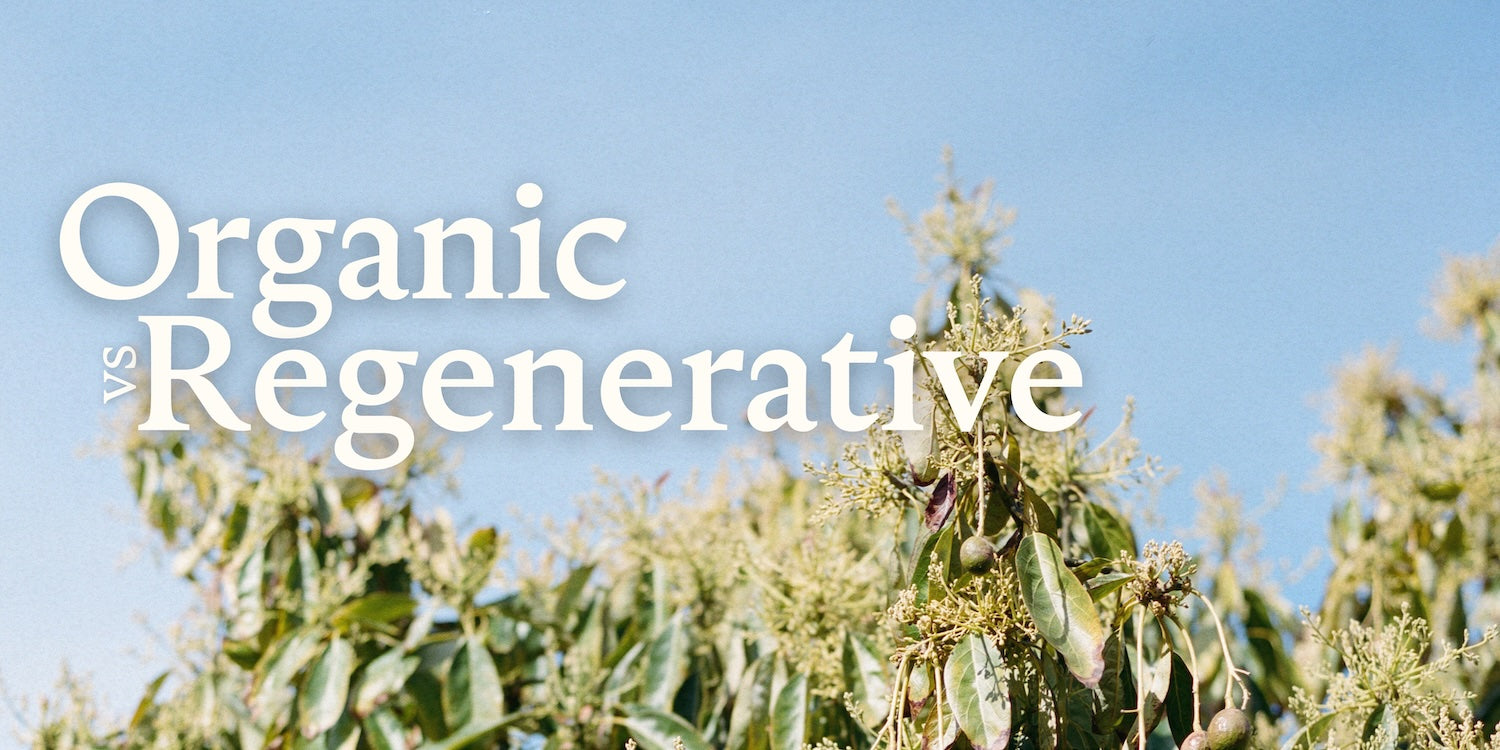 Organic vs. Regenerative