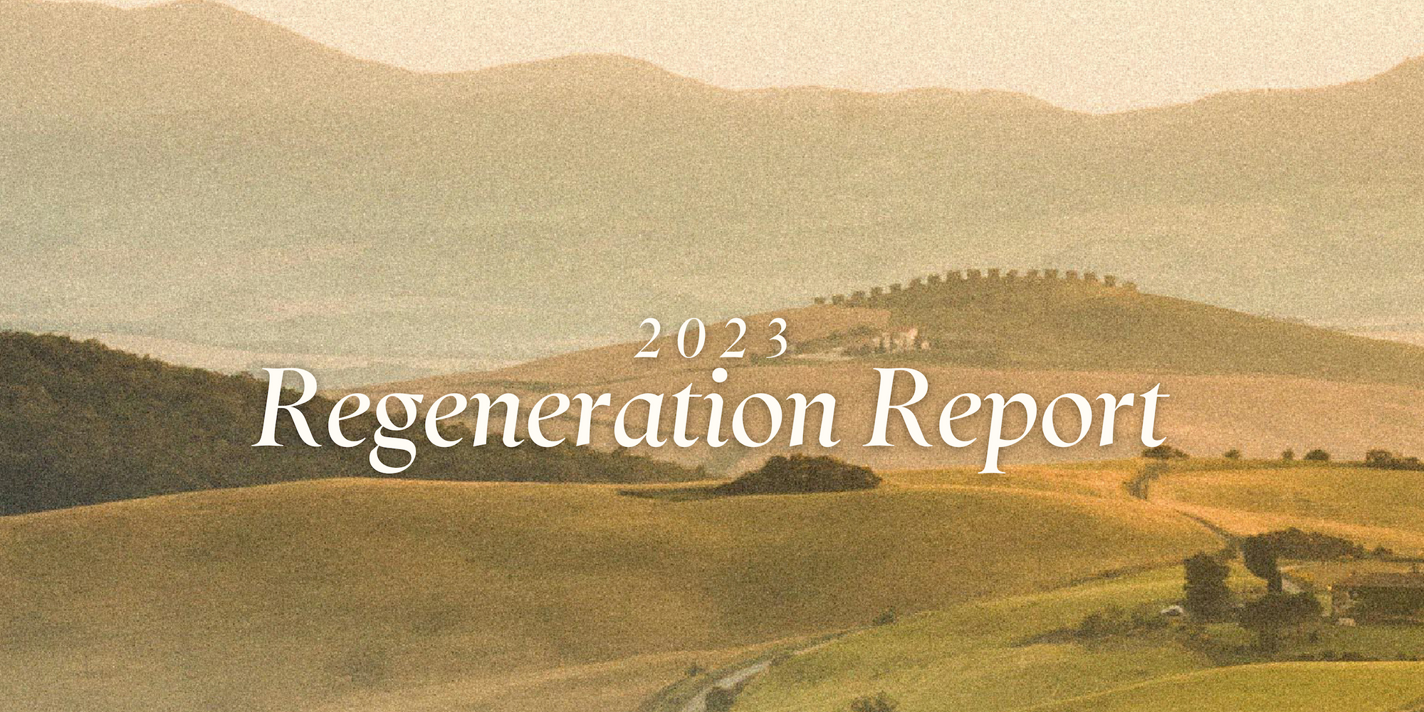 The 2023 Regeneration Report