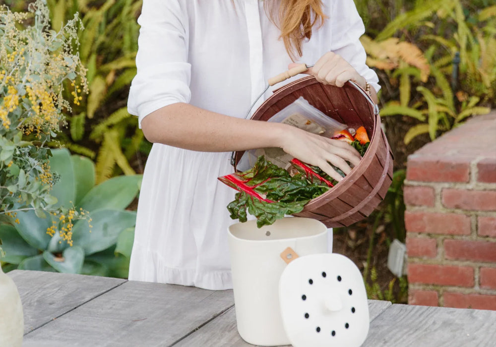 Compost Without the Plot: Your Kitchen Composting Questions, Answered